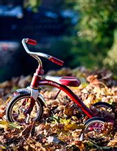 Acree-Davis Funeral Home | Toccoa, GA