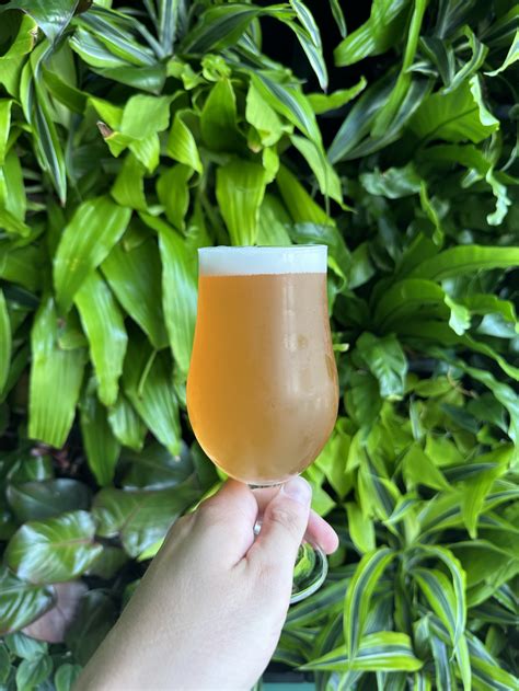 Our Beer | Craft Beer in St. Paul | Wandering Leaf Brewing Company ...