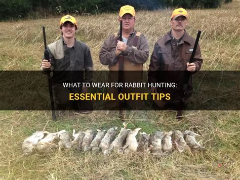 Rabbit Hunting Tips 的图像结果