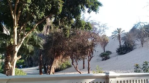 Peru Travel Express (Ica) - 2021 What to Know Before You Go (with ...