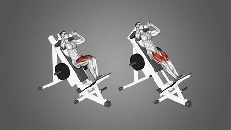 6 Highly Effective Hack Squat Alternatives (With Pictures) - Inspire US