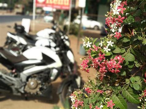 Hotel Renu Best Hotel Multi Cuisine Restaurants Family Restaurant In ...