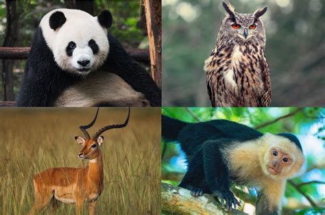 Image result for Pick Random Objects