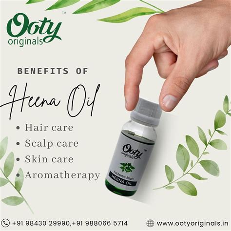 Nilgiri Eucalyptus Oil, Wintergreen and more Essential oils | Ooty ...