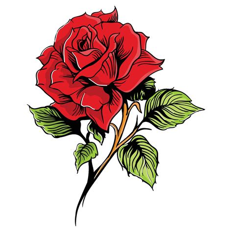 red rose clip art 55335029 Vector Art at Vecteezy