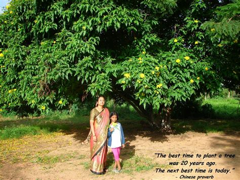 Raghu's column!: “Plant Trees, Save Trees” – Posters by Lalitha & Sudhiksha.