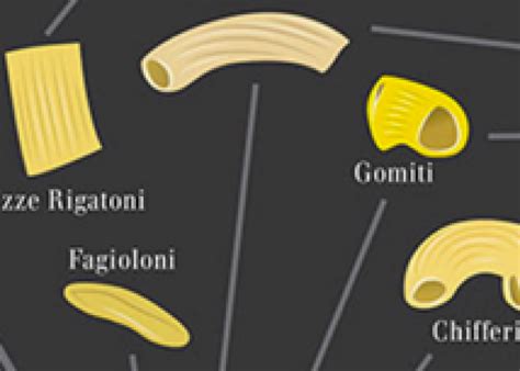 Image result for Types of Pasta Shells