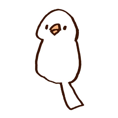 ABOUT | BUNCHO TACCATO 文鳥タッカート