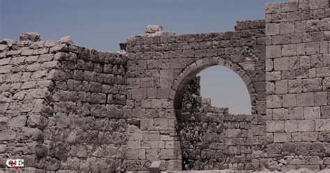 Relative Truth Examples 的图像结果