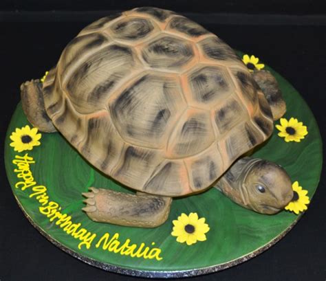 Tortoise Cake Tutorial 的图像结果