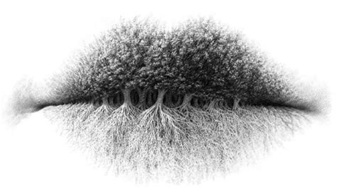 Illusion Personality Test: What You See First Reveals Your True Nature ...