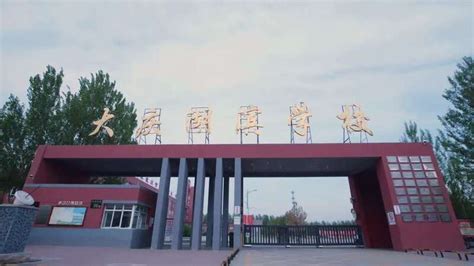 2021《传承的力量》七一篇精彩回顾——大庆市湖滨学校红色主题版画《生命如歌》