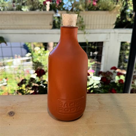 How You Can Grow Beautiful Zinnias in Containers and Pots! - Flower ...