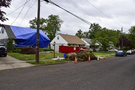 Tree Removal Failures 的图像结果