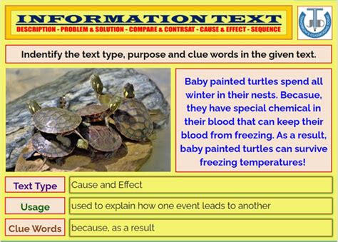 Image result for Worked Example Englsh Information Text