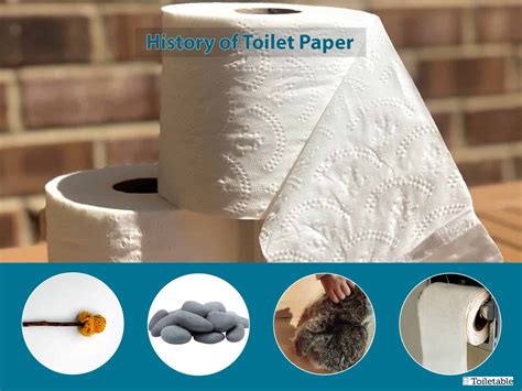 When Was Toilet Paper Invented at Marjorie Summerville blog