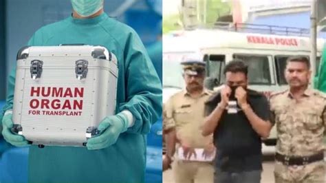 Human Organ Mafia: അവയവക്കടത്ത്: പ്രതി സാബിത്ത് നാസ ...