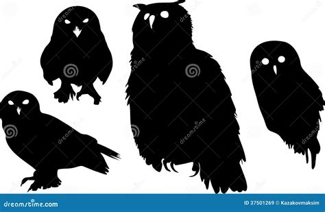 Silhouettes of owls stock vector. Illustration of scandiaca - 37501269