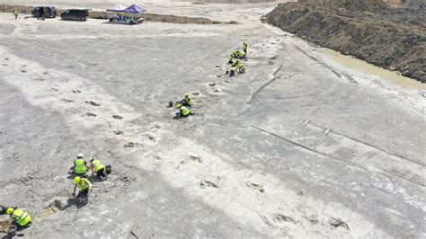 Hundreds of dinosaur footprints discovered in Oxfordshire | UK News | Sky News