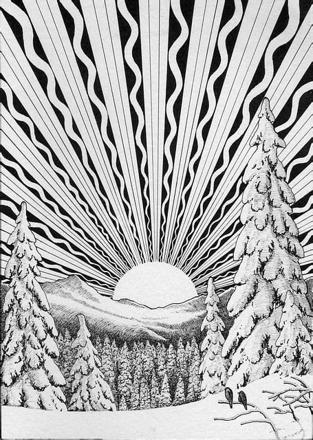 Environment Black and White 的图像结果