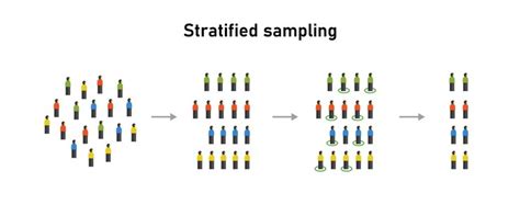 Stratified random sampling statistical method statistics techniques ...