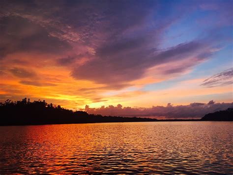 KUCHING WETLANDS NATIONAL PARK Guide (2026) All You Need to Know BEFORE ...