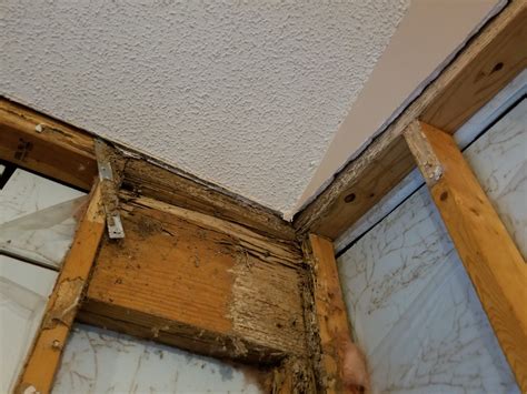 Termite Damage Repair Claim Estimates in the Southeast - TeamComplete