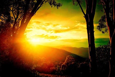 Blue Mountains Day, Sunset Tour & Glow Worms Night Adventure 2024 ...