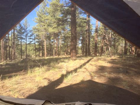 Kaibab Lake Sites And Group Areas Camping | Williams, AZ