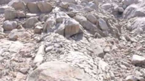 Brain teaser: If you can spot the hidden deer in this desert scene, you ...