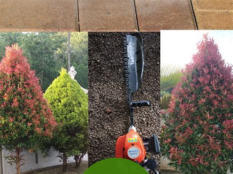 Poppy Greens, Cherupuzha - Gardening And Landscaping Services ...