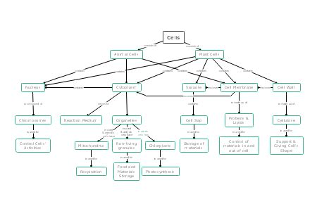 Cell Structure Concept Map 的图像结果
