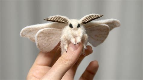 Image result for Moth Corpse Bride Stencil