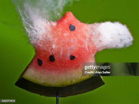 Image result for Exploding Watermelon