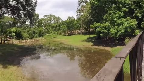 ¿Dónde está el rancho de AMLO? Así es La Chingada, lugar de retiro del ...