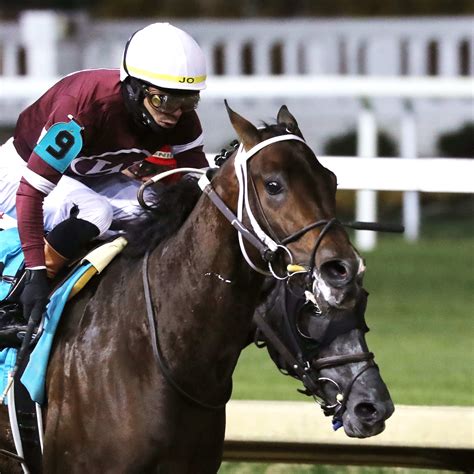 The Jockey Club Increases Registration Fees In 2026 - Paulick Report