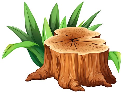 Image result for Tree Trunk Cartoon Transparent PNG