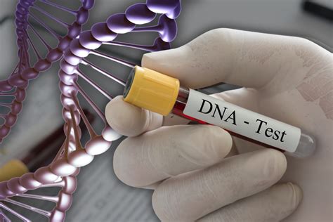 DNA Lab 的图像结果