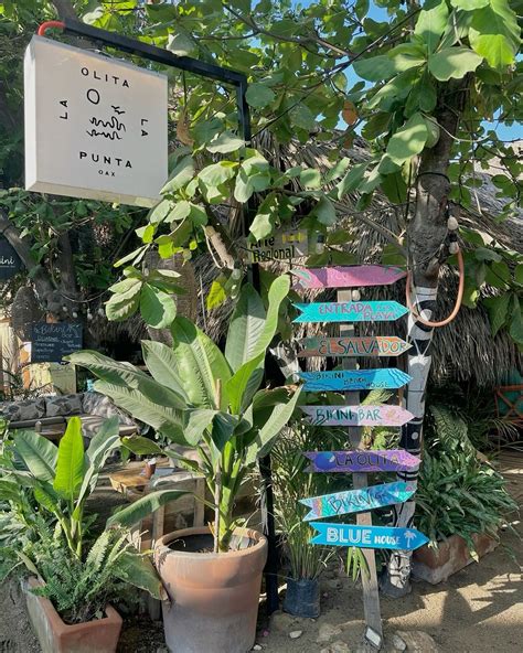 Daniela Flores | 🌴🌴 | Instagram