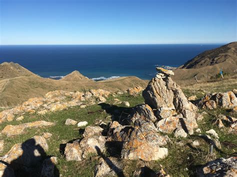 Tora PostgreSQL 的图像结果