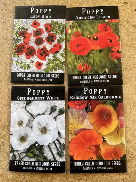 I've never had luck growing poppies from seeds. Any advice with these ...