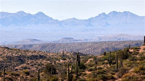 Wallpaper prairies, cacti, mountains, distance hd, picture, image