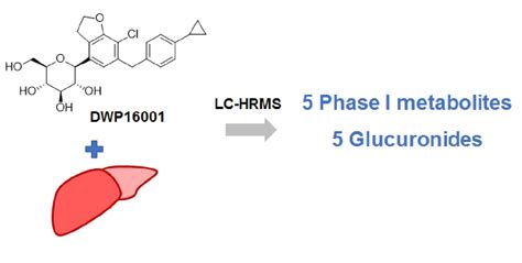 In Vitro Metabolism of DWP16001, a Novel Sodium-Glucose Cotransporter 2 ...