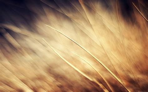 Nature Undefined Wallpaper 的图像结果