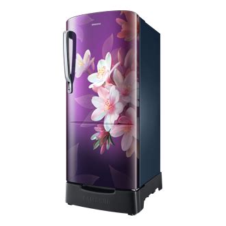 Buy 183 L Single Door Refrigerator Rr20H1823Wb/Hl | Samsung India