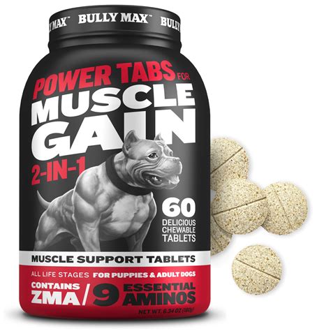 5 Everyday Supplements That Xl Bullies Actually Need