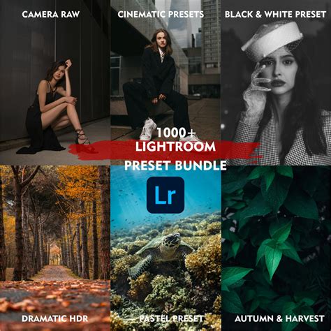 Lightroom Presets Collections | +1000 Presets - Karimoos