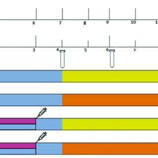 Image result for Science Protocol