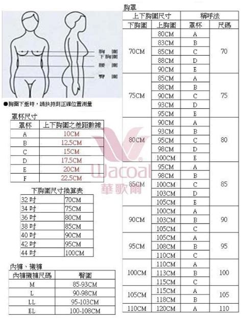 34c是多大图解,34c是什么概念图片 - 伤感说说吧