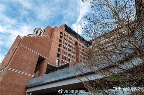 外籍留学生体验中国传统书法-同济大学新闻网